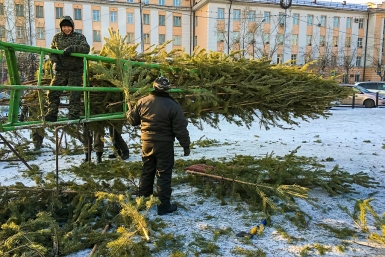 Установка елки Анна Огородник, ИА UlanMedia