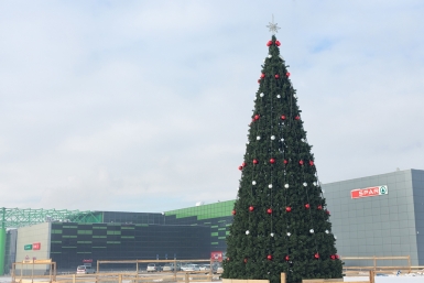 Елка рядом с ТРЦ Capital Mall Александра Данилова, UlanMedia