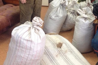 Наркотики на основе конопли наиболее распространены в Бурятии Пресс-служба УФНС РФ по Бурятии
