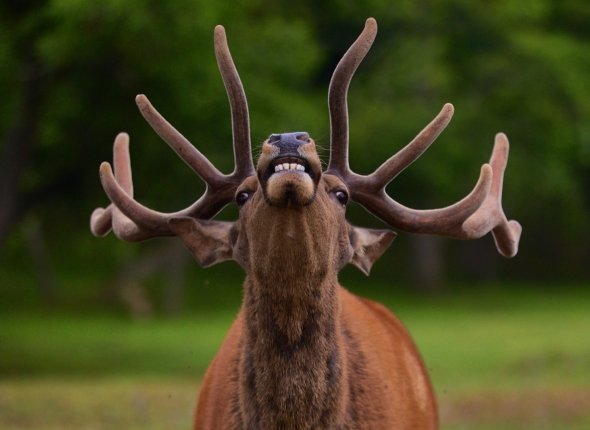 "Будущее литературы - за большими проектами Дальнего Востока и космонавтикой"