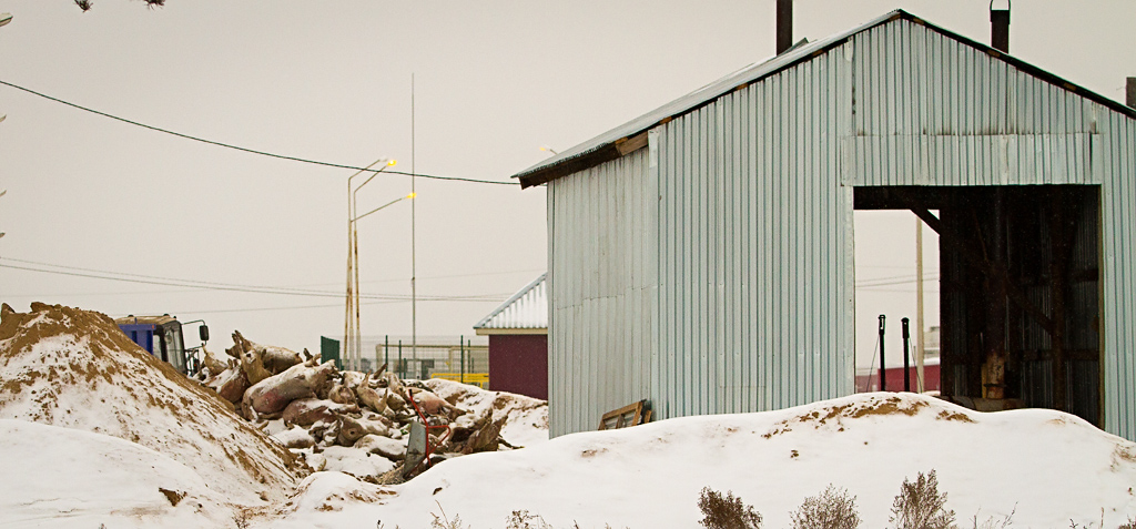 Тот самый крематор, из-за неполадки которого и скопились тела погибших животных, Фото с места события собственное