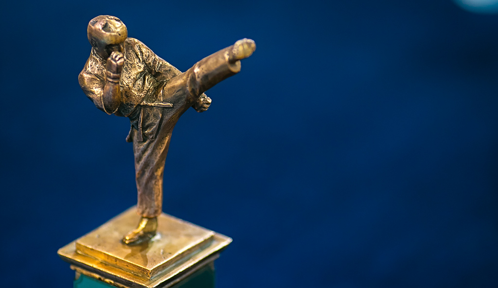 Боевое самбо на кубок ОМОН "Кречет" МВД по РБ, Фото с места события собственное