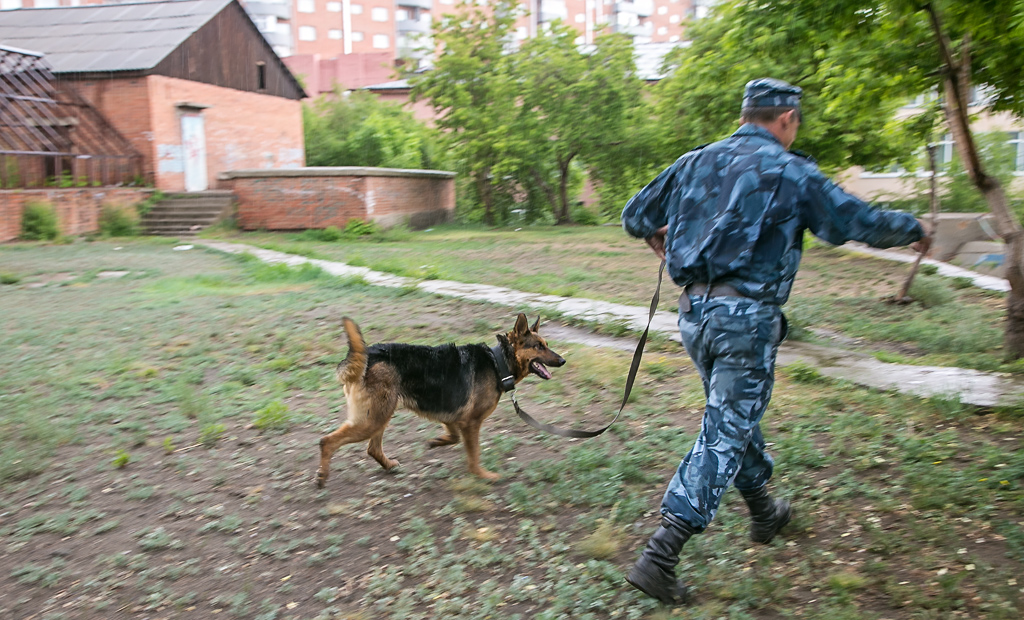 Ливень сорвал показательные выступления сотрудников УФСИН со служебными собаками в Бурятии, Фото с места события собственное