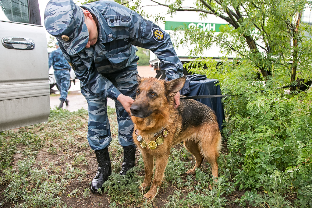 Ливень сорвал показательные выступления сотрудников УФСИН со служебными собаками в Бурятии, Фото с места события собственное