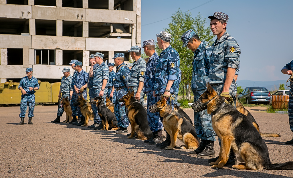 Навыки дрессировки продемонстрировали собаки на показательных выступлениях в Улан-Удэ, Фото с места события собственное
