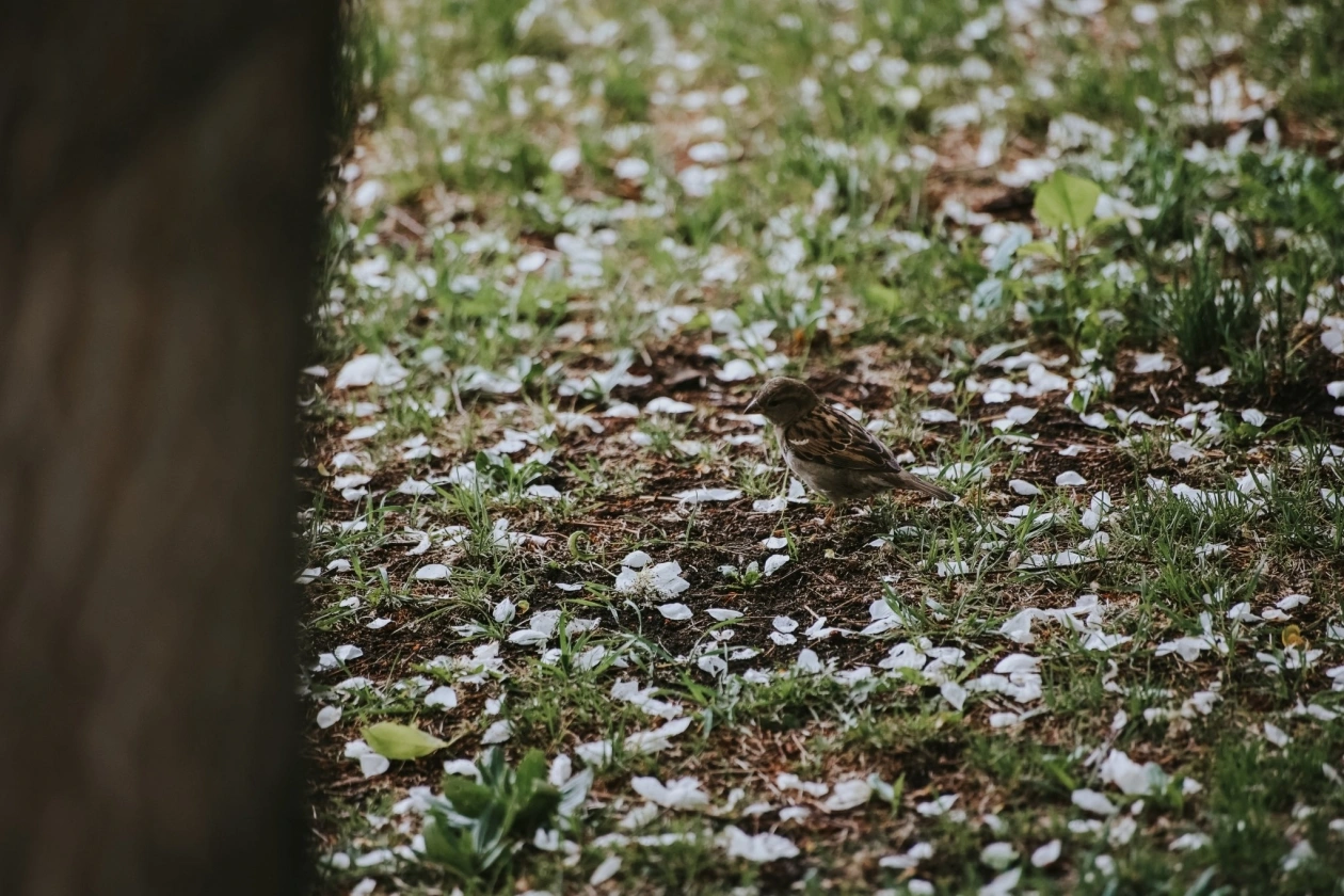 Воробьев посчитают Юлия Ушакова, ИА IrkutskMedia