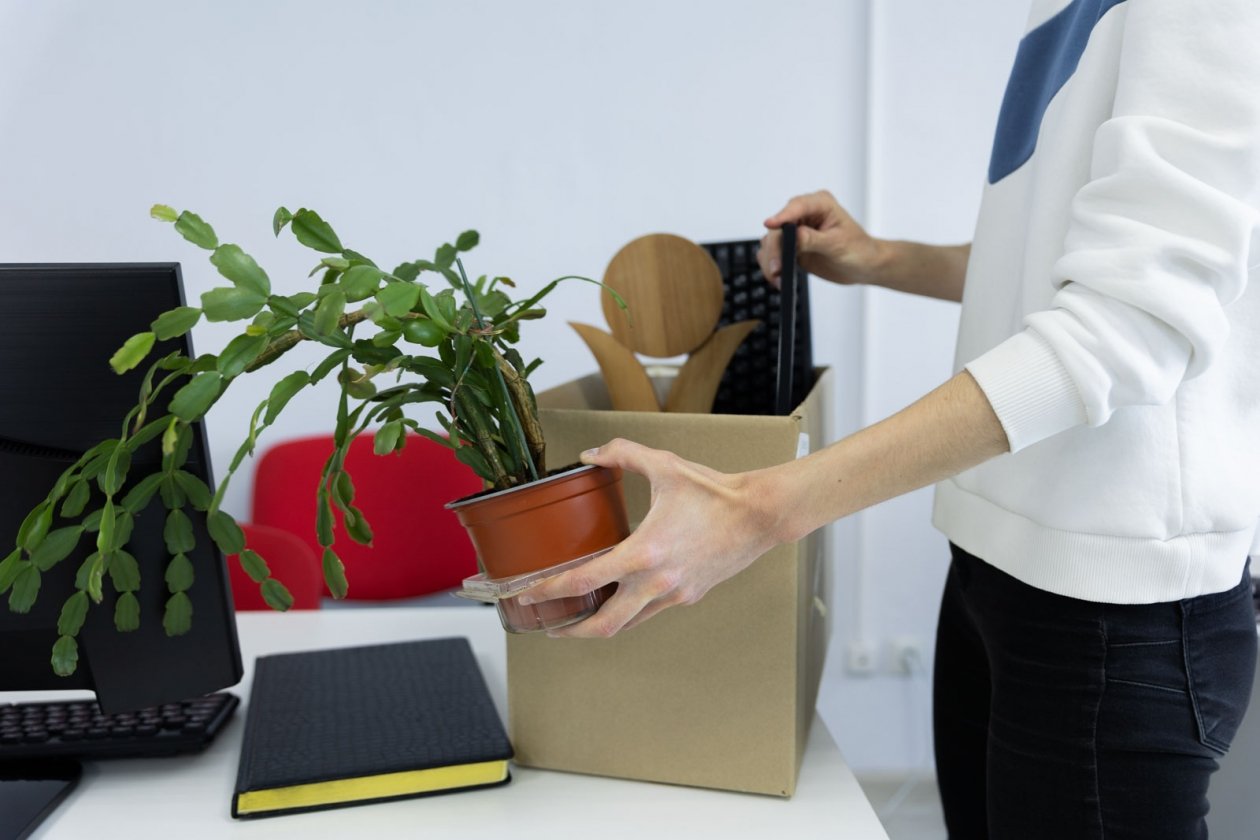 Названы самые выгодные месяцы для увольнения в 2026 году Артём Хорошилов  , ИА Stavropol.Media