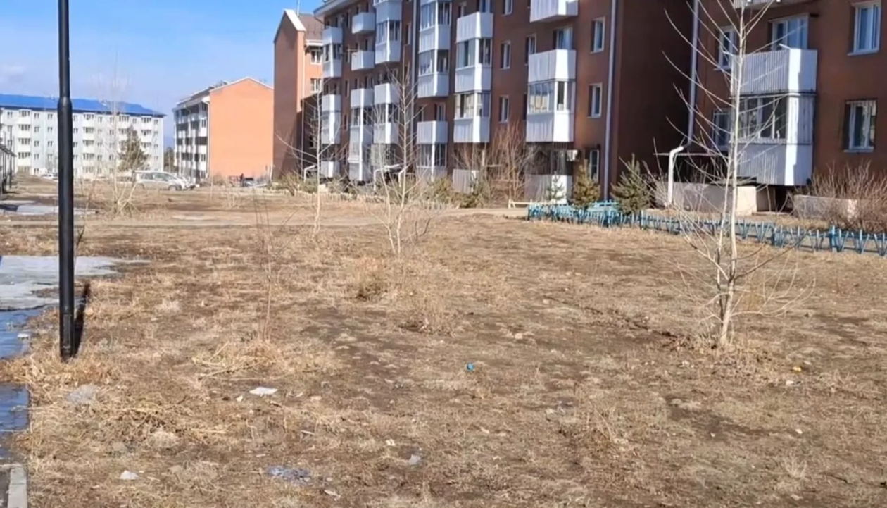 Дворы запустыниваются ОНФ РБ