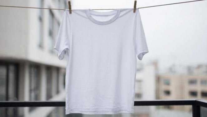 Тематическое фото Создано при помощи ИИ