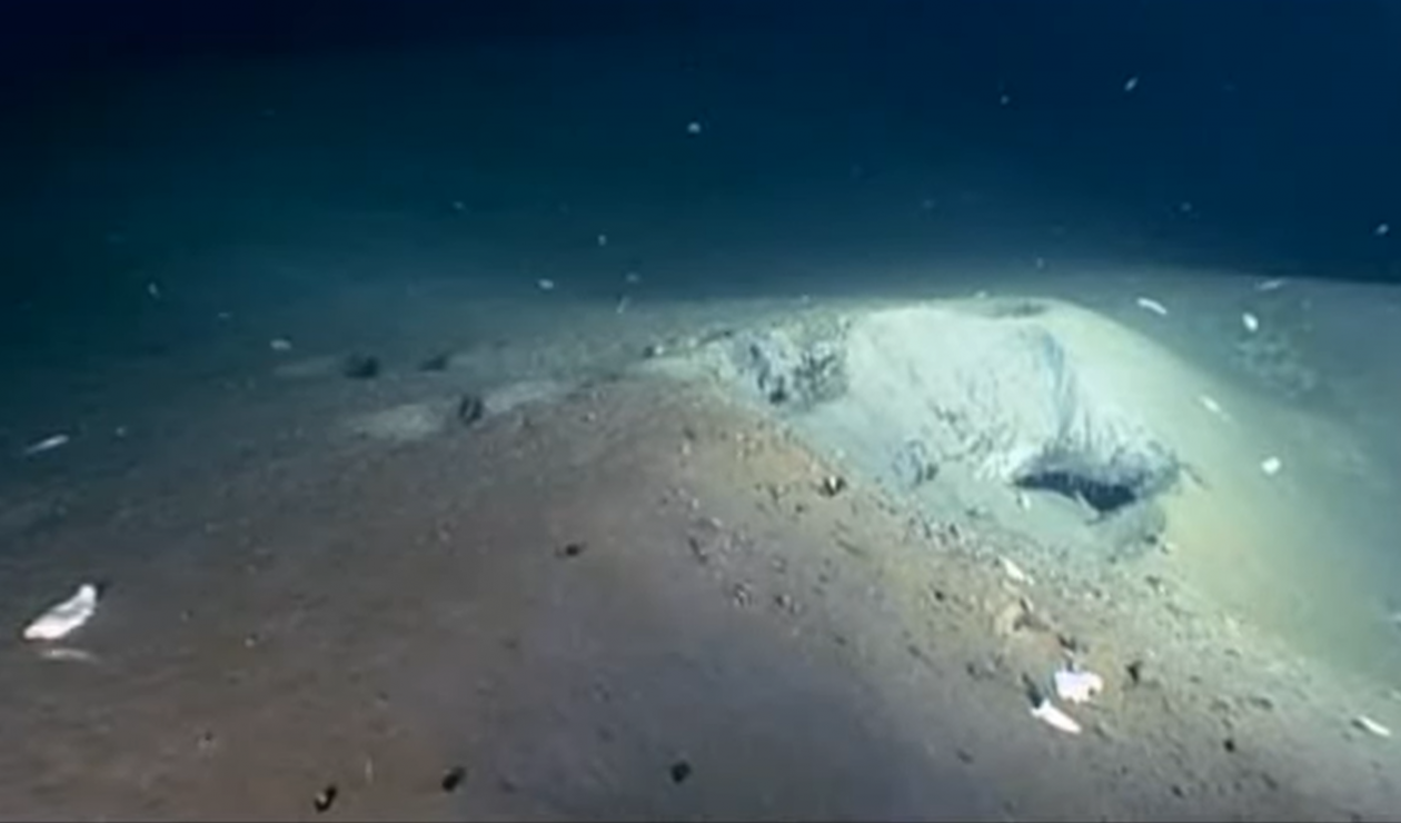 На дне Байкала кадр из видео