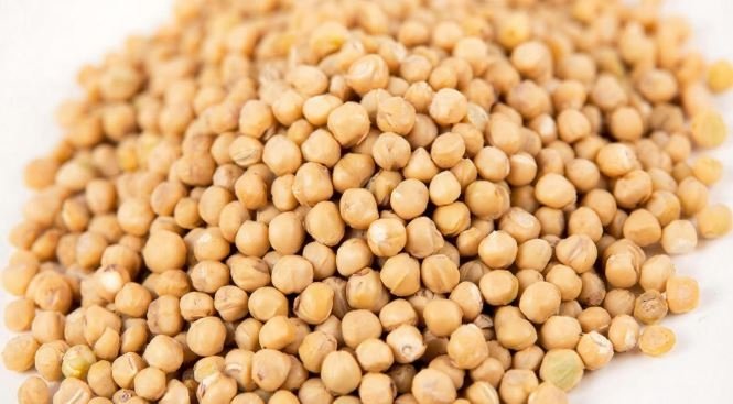 Тематическое фото Создано при помощи ИИ