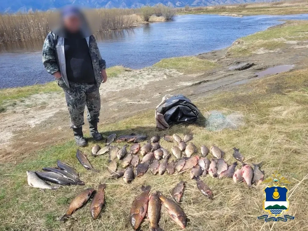 В Бурятии задержали браконьера с 54 особями нерестовой рыбы МВД по Бурятии