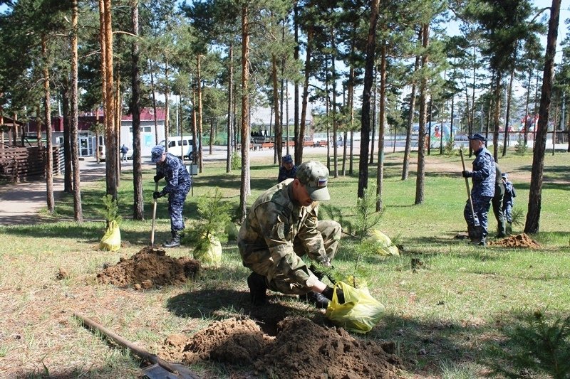 Они заложили Аллею к 10-летию Росгвардии и 215-летию войск правопорядка Росгвардия Улан-Удэ