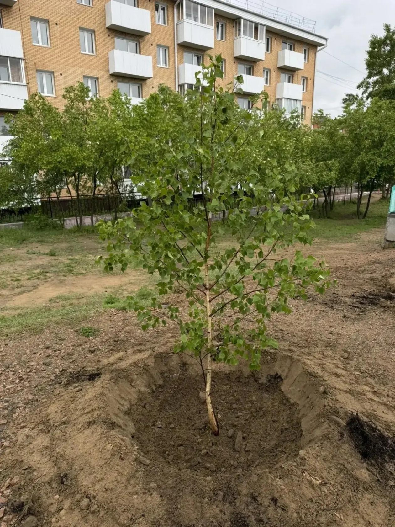 администрация г. Улан-Удэ