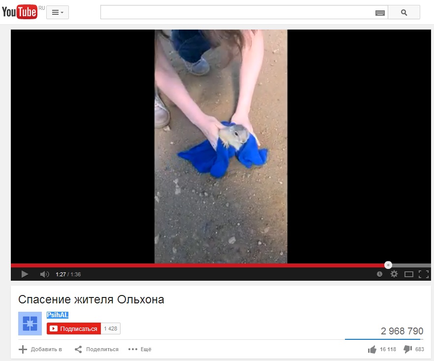 Пернатые, хвостатые и зубастые "звезды" покорили сердца жителей Бурятии, Фото с места события из других источников