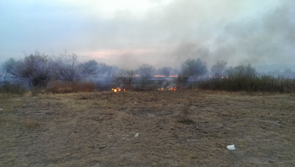 Остров Богородский полыхал в минувшие сутки в Улан-Удэ