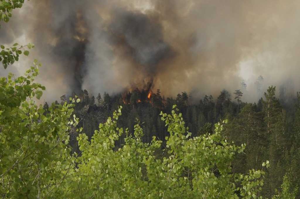 Лесной пожар в Бурятии