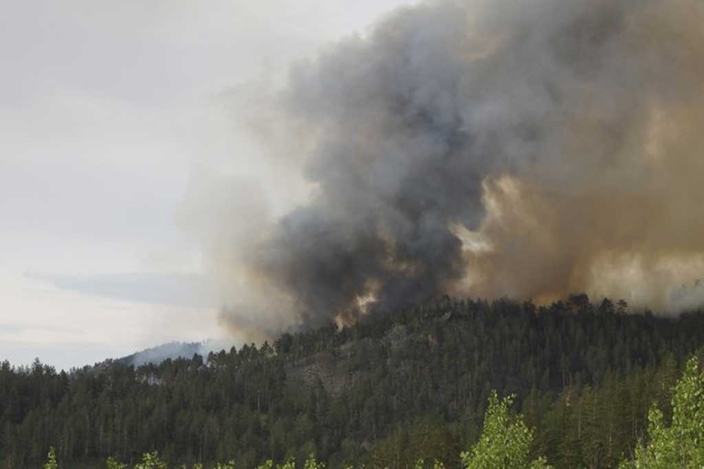 Лесной пожар в Бурятии