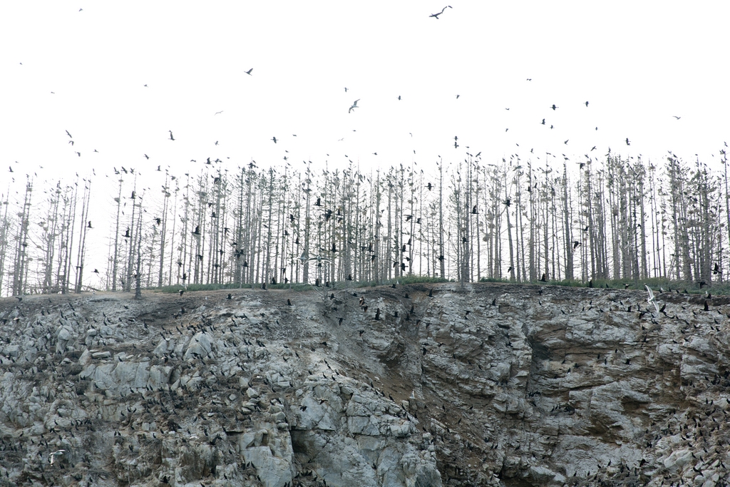 Остров для съемок фильмов ужасов