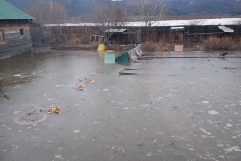 Селенга затопила дома дачников в Улан-Удэ