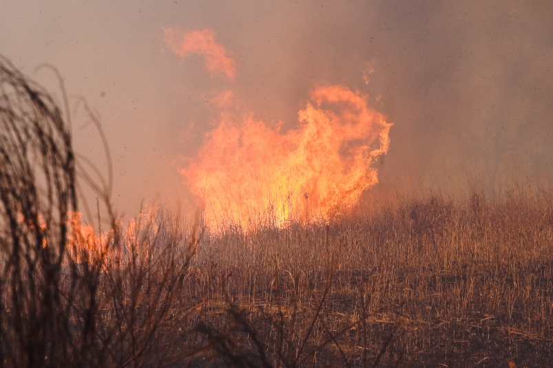 В Бурятии восемь районов живут в режиме высокой пожароопасности