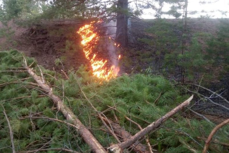 В девяти районах Бурятии лесные пожары произошли из-за людей