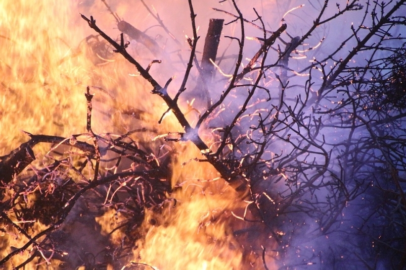 На севере Бурятии бушует мощный лесной пожар
