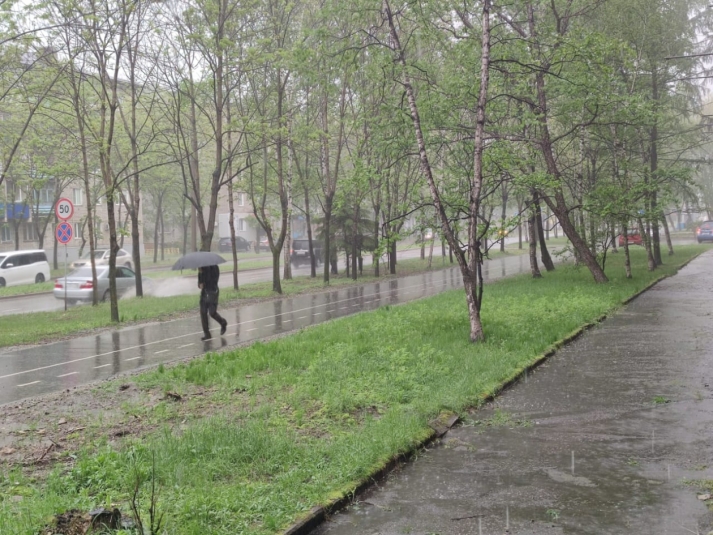 Дождь с грозой сменит жару в Улан-Удэ