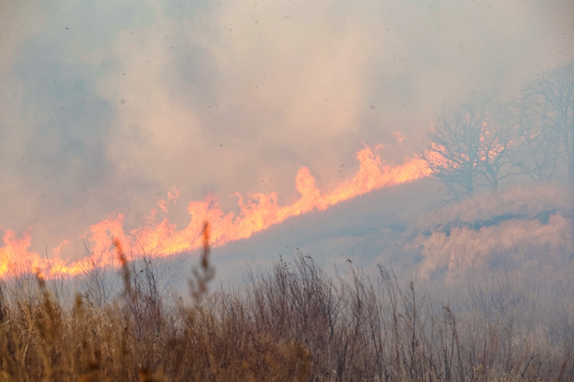 Сухая гроза стала виновницей лесных пожаров в Бурятии
