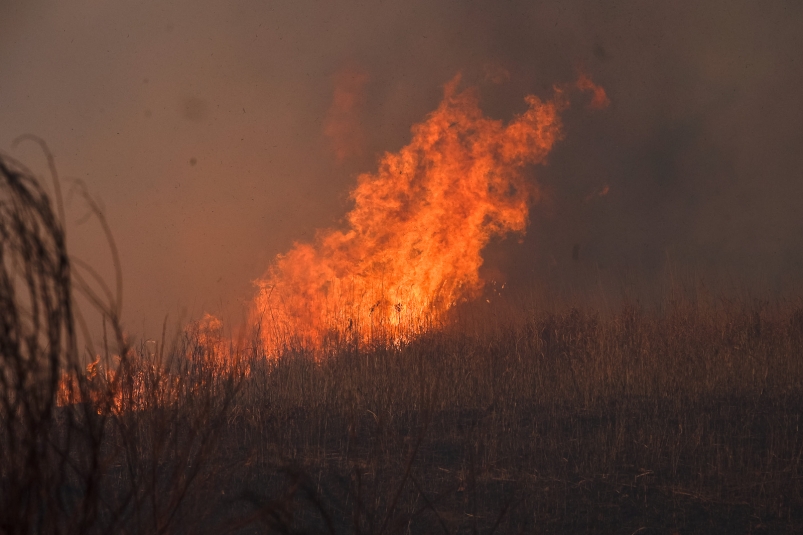 В Курумканском районе лесной пожар замыкают отжигом кромки