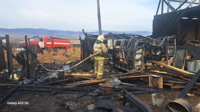 В Бурятии в пожаре погиб домашний зоопарк