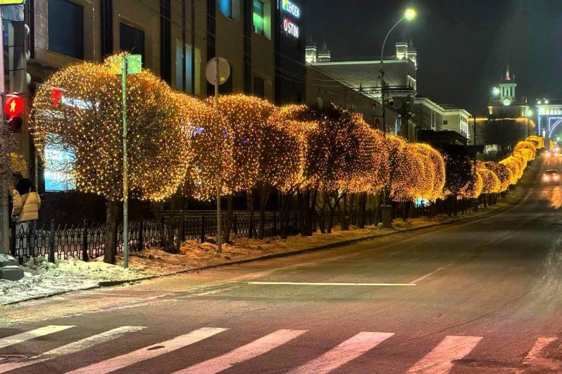 В центре Улан-Удэ зажглись яблони