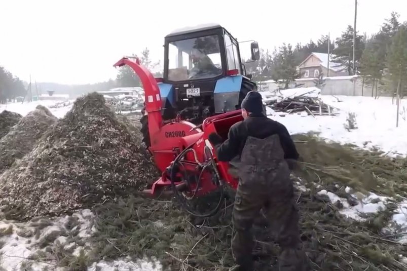 В Улан-Удэ начали операцию по спасению старых ёлок