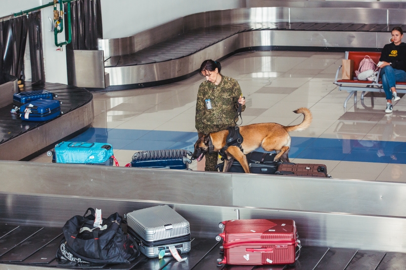 Что нужно знать, доверяя свою посылку незнакомцу