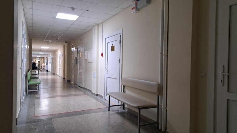 Тематическая иллюстрация Елена Гиневская, ИА Stavropol.Media