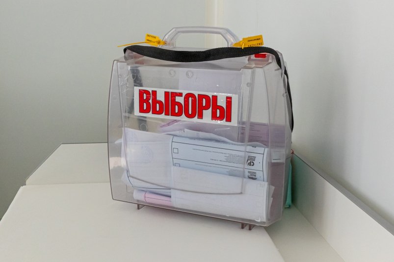 Тематическое фото Мария Смитюк, ИА PrimaMedia.ru