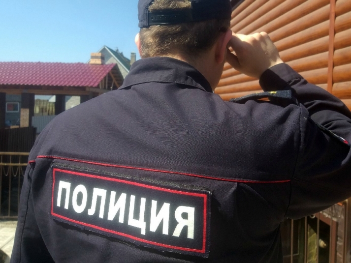 Тематическая иллюстрация Калмыкова Екатерина, ИА IrkutskMedia