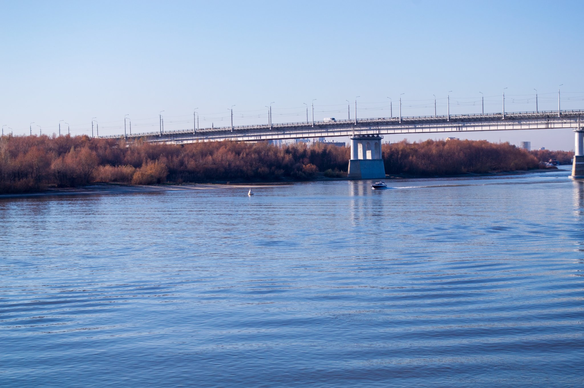 Тематическое фото Евгений Овдеенко, ИА OmskMedia