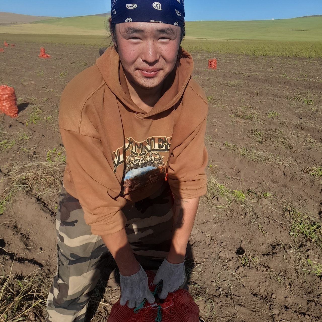 В Бурятии научат выращивать картофель по науке Минсельхоз Бурятии