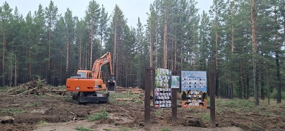 Вырубку остановили страница Т. Думновой