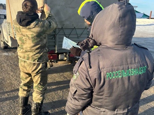 С начала года выявлено 119 случаев перемещения животных и грузов без ветдокументов Управление Россельхознадзора по РБ и Иркутской области