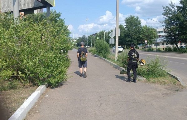 Улан-удэнцам рассказали о правильной высоте травы 