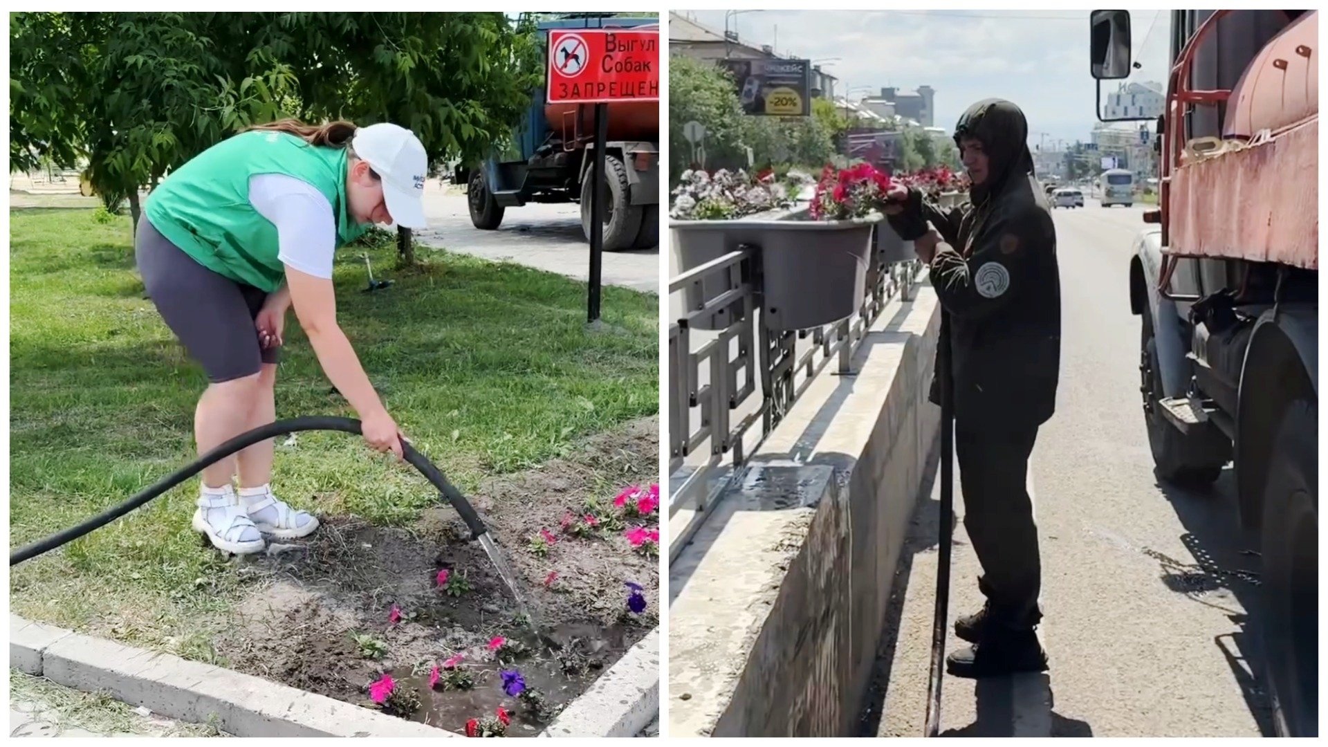 Даже после дождей полив не отменяют — влага нужна для здоровья растений администрация г. Улан-Удэ