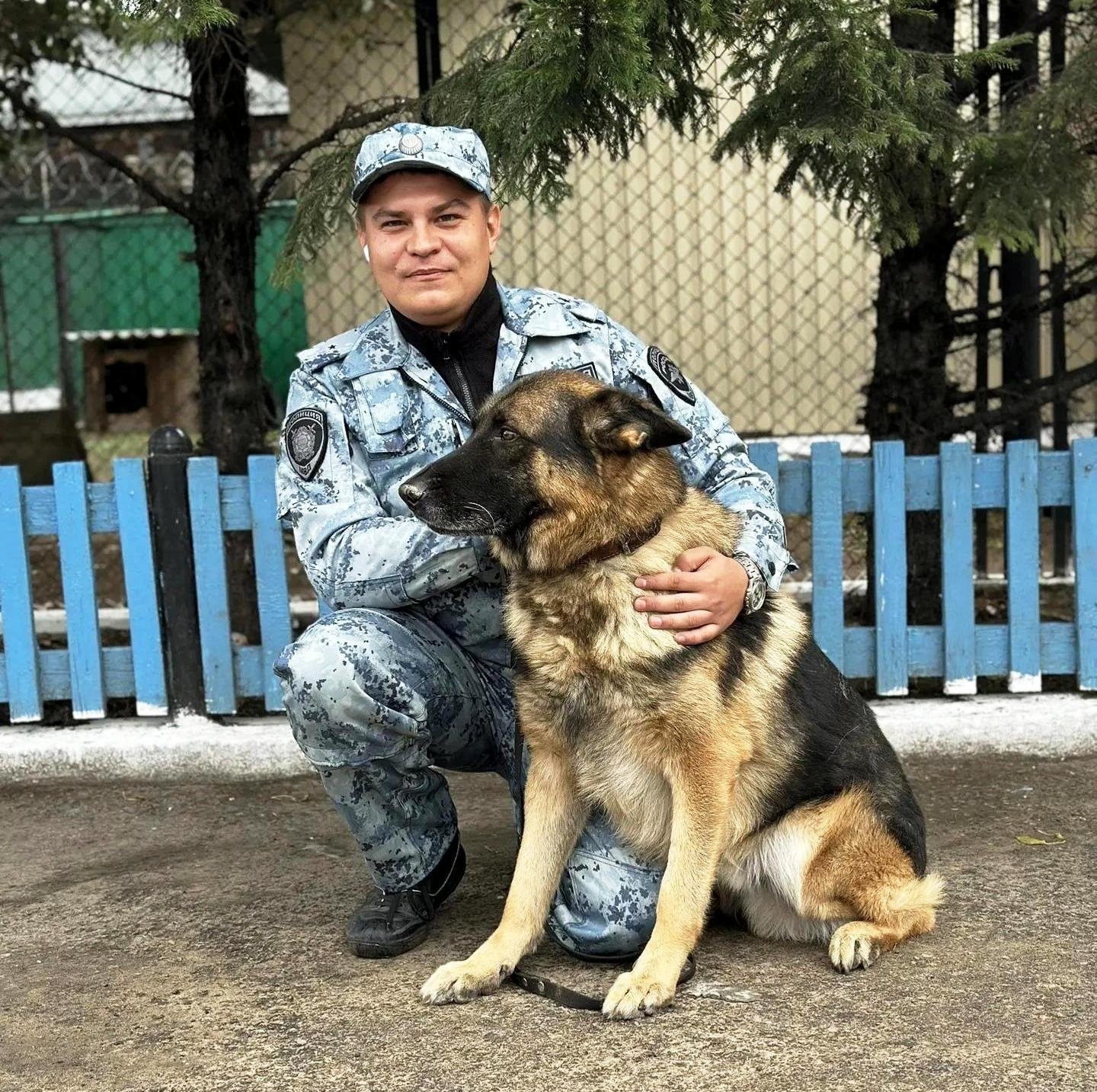 Кинолог с немецкой овчаркой Классик Аллерт Аргус МВД по Бурятии