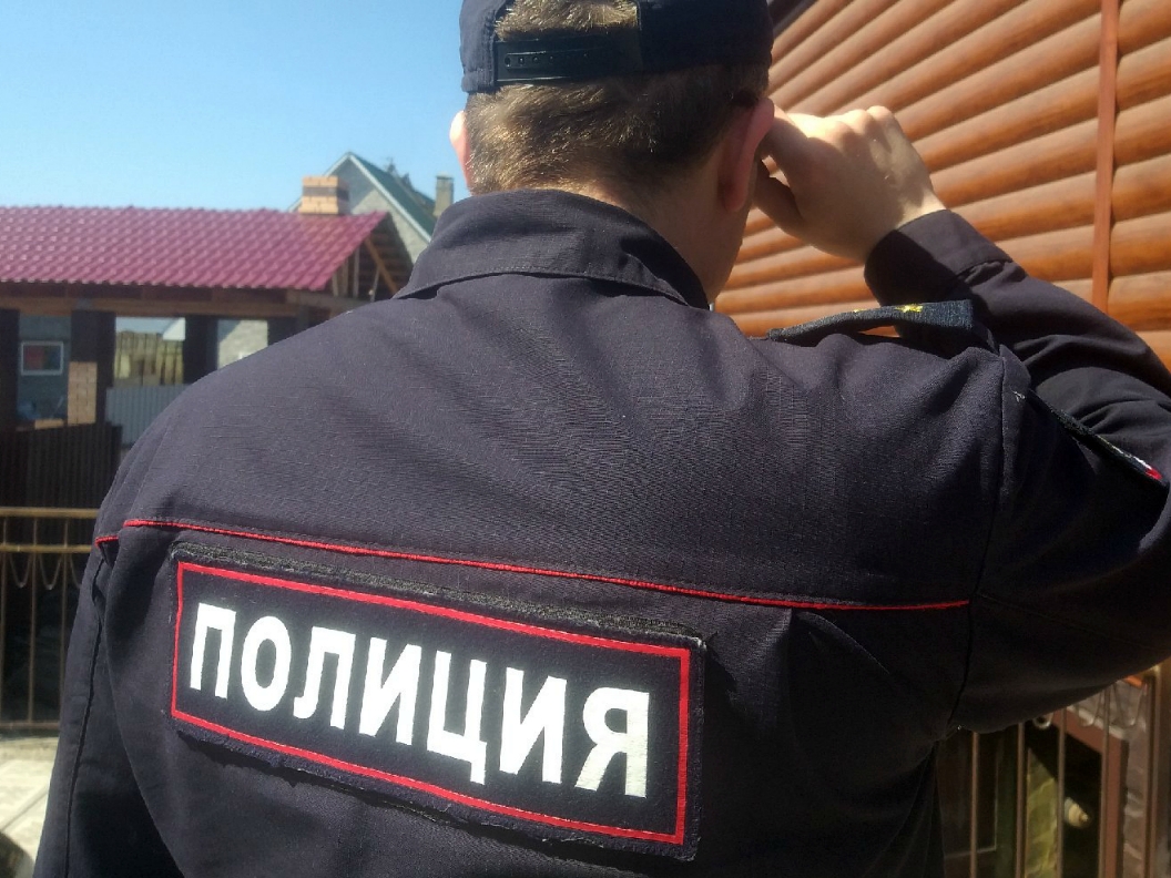 Тематическая иллюстрация Калмыкова Екатерина, ИА IrkutskMedia