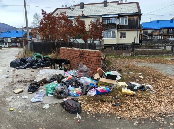 Жители продолжают оставлять мусор на старых местах, несмотря на новые правила Муя-инфо.24/7