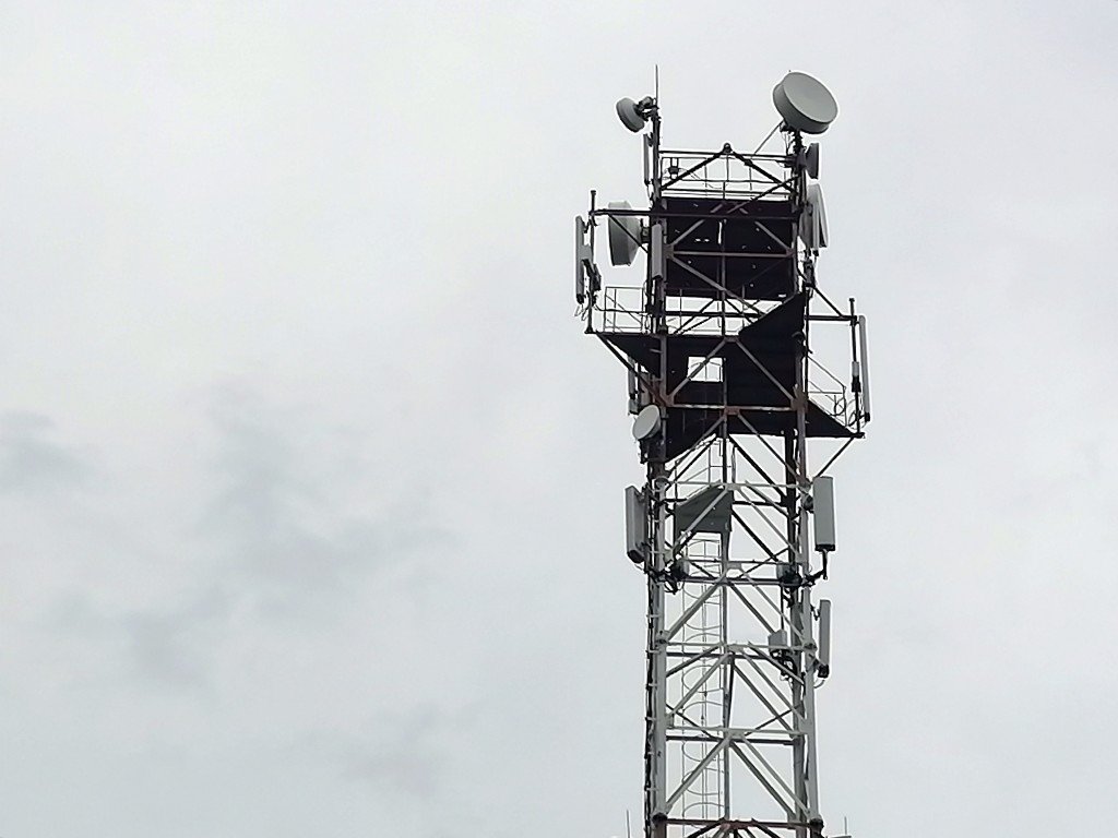 МТС включила LTE в Белоозерске, селе где наблюдают за краснокнижными птицами МТС